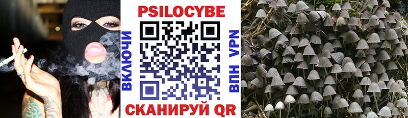 Псилоцибиновые грибы мицелий дарнет шоп Борзя